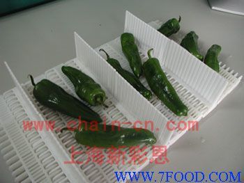 食品專用輸送帶_產(chǎn)品(價格、廠家)信息_中國食品科技網(wǎng)